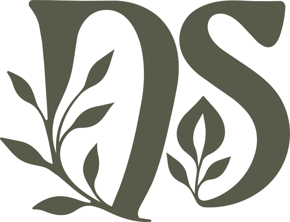 Logo Didier Schindler